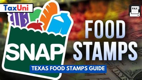 Binghamton Food Stamps Application Process