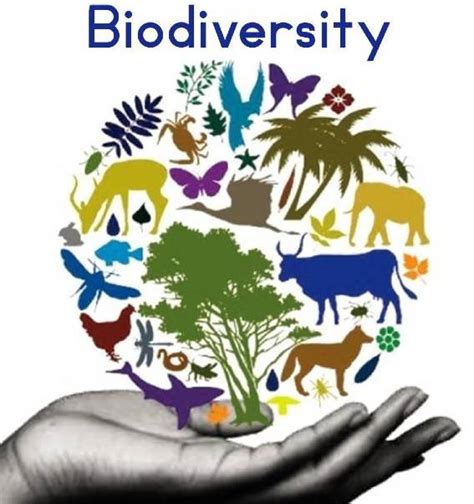 Biodiversity Conservation Practices