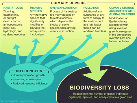 Biodiversity conservation and extinction risk