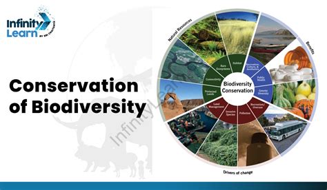 Biodiversity Conservation Practices