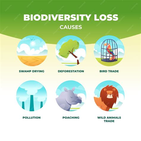 Biodiversity loss from habitat destruction