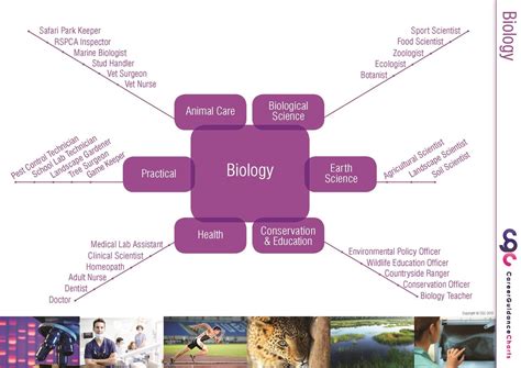 Biologist Career Path