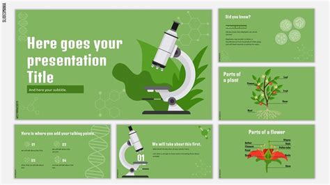 Biology PPT Template 1