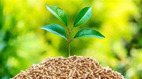 Biomass energy