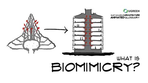 Biomimicry Applications