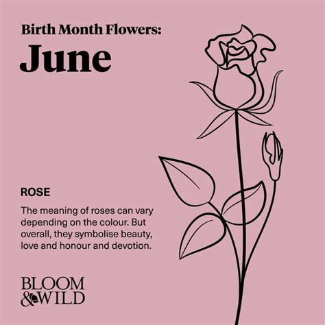 Rose birth flower