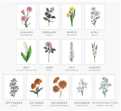 Birth flowers and their meanings