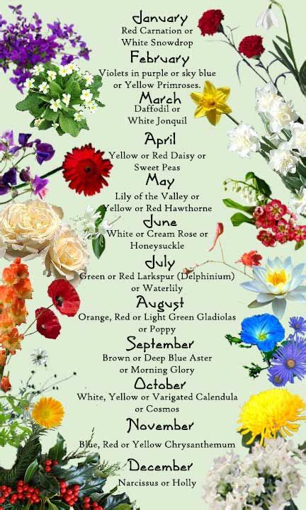 Birth flowers meanings