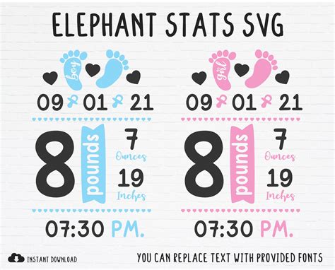 Birth stats template example 7