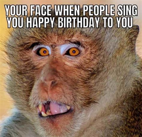 Funny birthday memes for cards