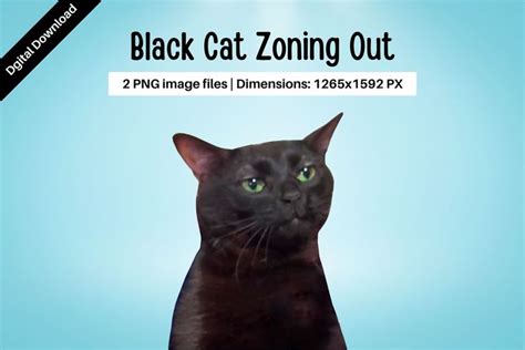 Black Cat Zoning Out Meme Template Inspiration