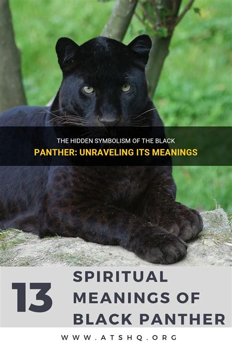 Black Panther Symbolism