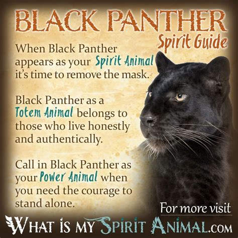 Black Panther Symbolism