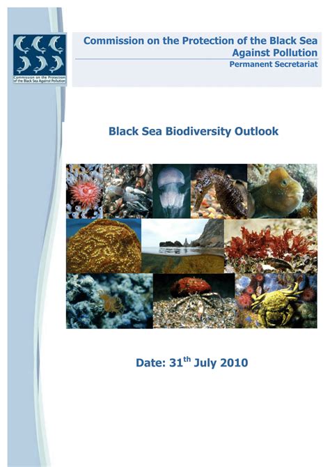 Diverse Ecosystems of the Black Sea