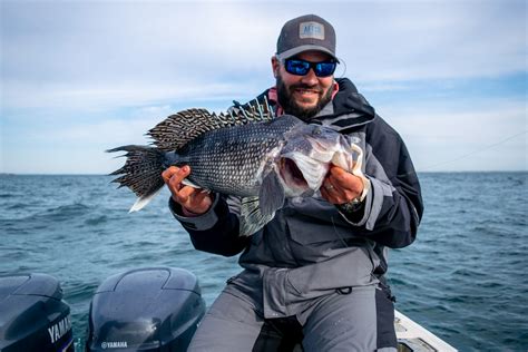 Black Sea Fishing