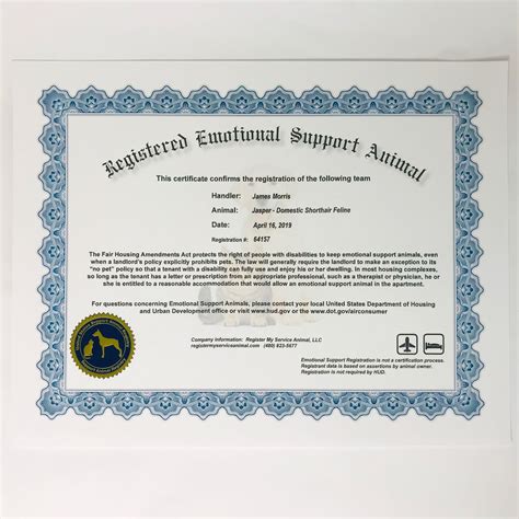 Blank ESA Certificate Template Example