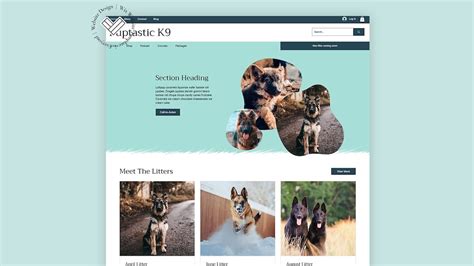 Blog Website Template