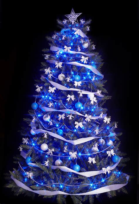 A beautiful blue Christmas tree decorated with white and silver ornaments