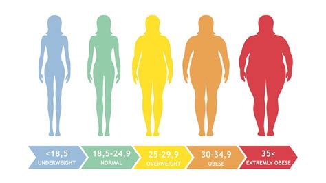 BMI body fat percentage