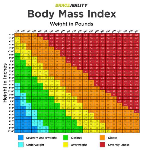 Setting Up the BMI Calculator in Excel