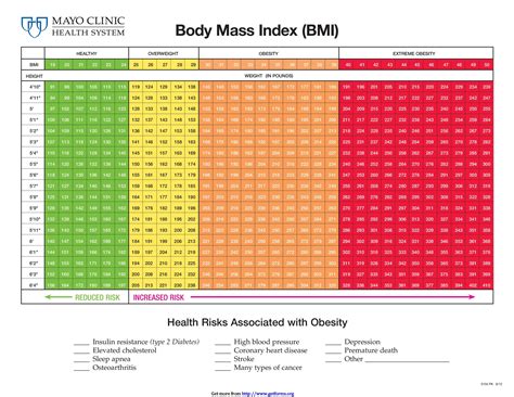 BMI Calculator Template 2