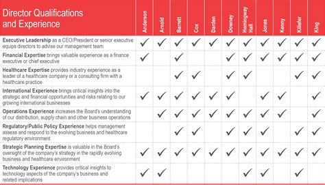 Board Skills Matrix Template in PDF