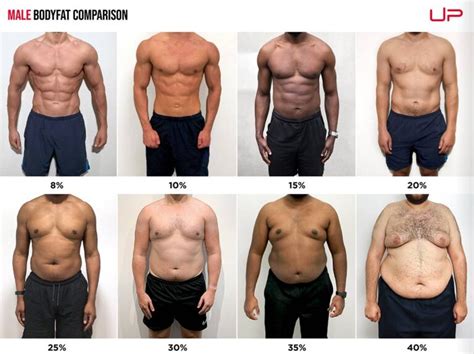 Body fat measurement