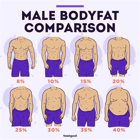 Body Fat Percentage Standards