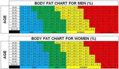 Body fat percentage measurements