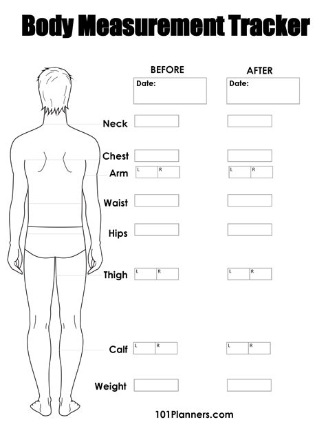 Body Measurement Chart Template