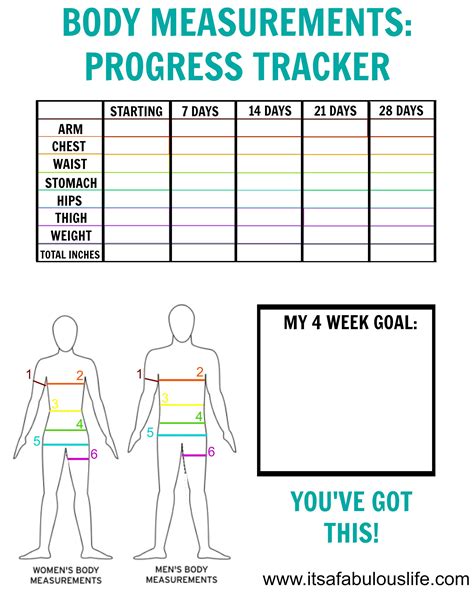 Body measurement tracker template example