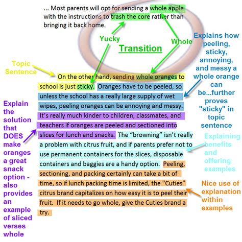 Body Paragraph Structure Example