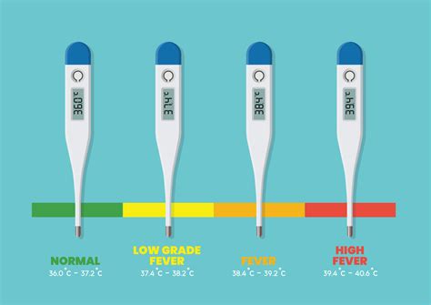 Body Temperature Regulation