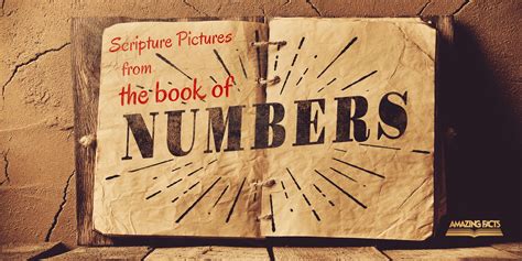 Book of Numbers