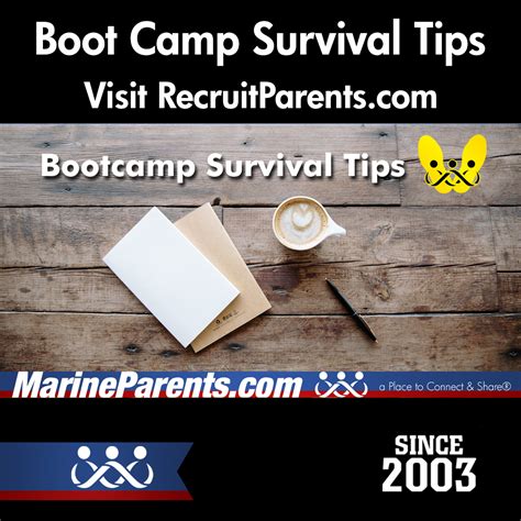 Boot Camp Survival Tips Image