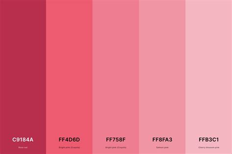 Born Pink Color Palette and Fonts