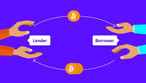 Borrower and lender information section