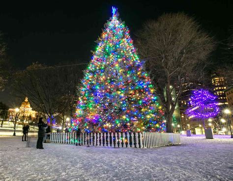 Boston Common Christmas Tree