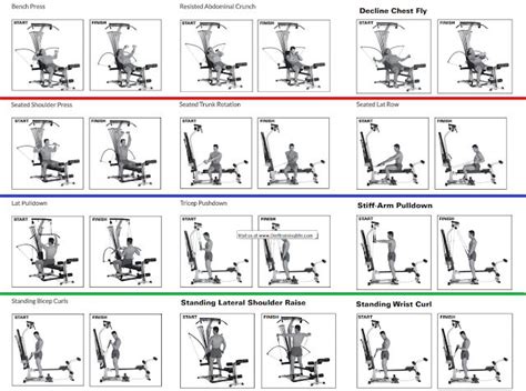 Bowflex Xtreme 2 Back and Biceps Workout