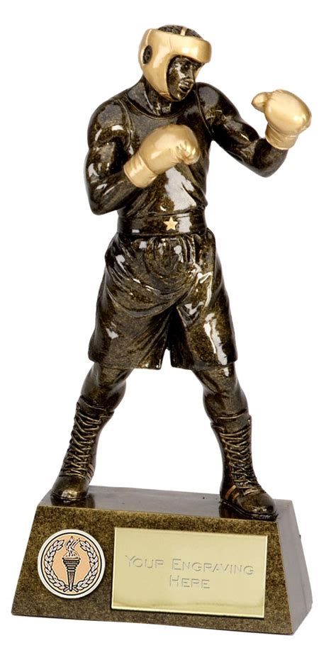 Boxing trophy