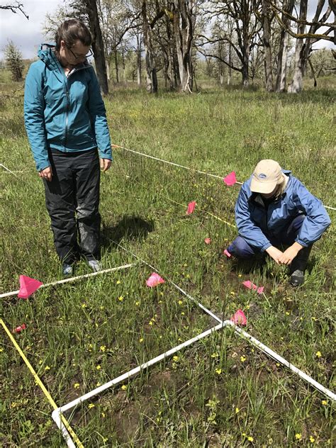 Bradshaw Range Conservation