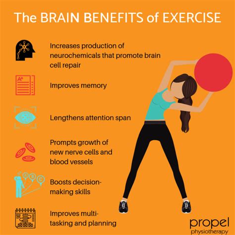 A diagram showing the benefits of word searches on the brain