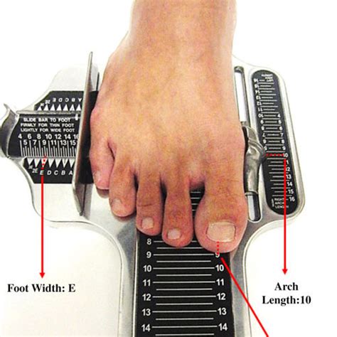 Brannock Device Printable Template for Men