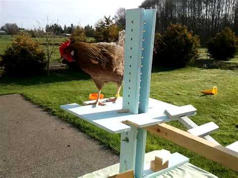 Break Chicken Obstacles