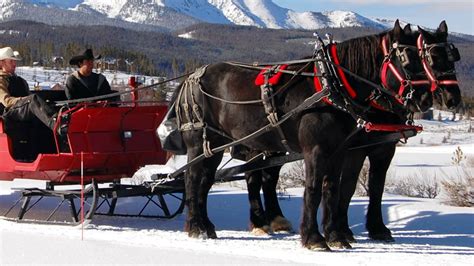 Breckenridge Sleigh Rides