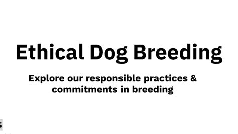 breeder responsibility