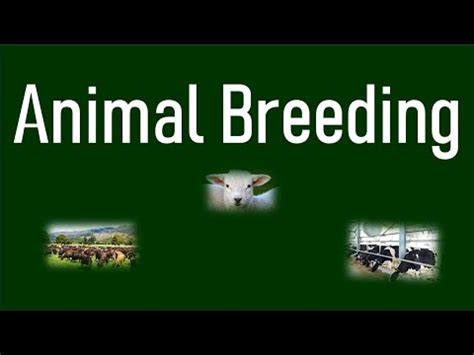 Breeding Terms