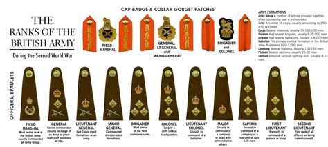 British Army ranks chart