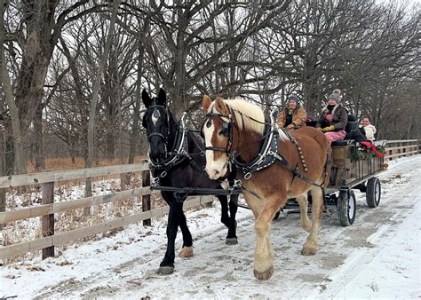 Broadmoor Horse-Drawn Sleigh Ride