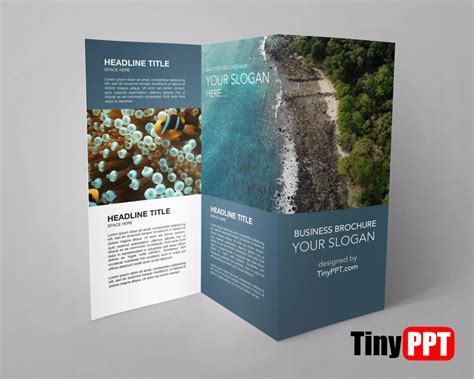 Brochure Template Google Drive